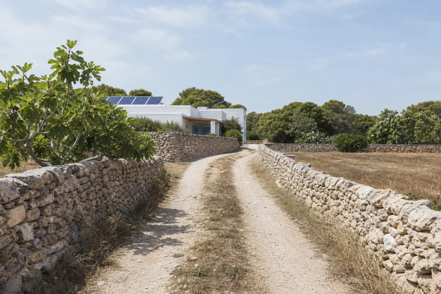 Formentera country lane leading to a solar-powered home