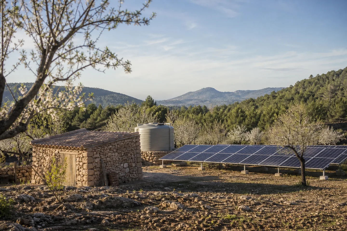 Ground-mounted solar array at a rural Balearic property